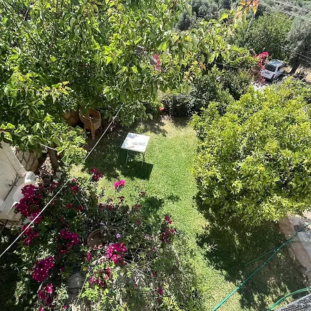 Apartman Olive Garden Zeytin Ev